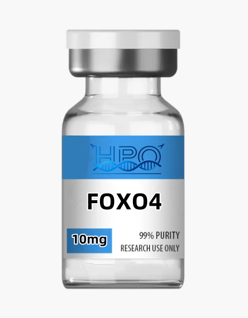 FOXO4 peptide research product image